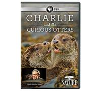 NATURE: Charlie And The Curious Otters [USA] [DVD]