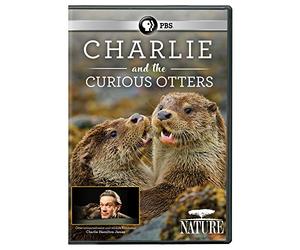 NATURE: Charlie And The Curious Otters [USA] [DVD]