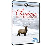 Nature: Christmas in Yellowstone [USA] [DVD]