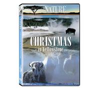 Nature: Christmas in Yellowstone [USA] [DVD]