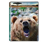 Nature: Clash Encounters of Bears and Wolves [USA] [DVD]