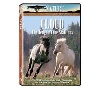 Nature: Cloud Challenge of the Stallions [USA] [DVD]