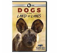 Nature: Dogs In The Land Of Lions [Edizione: Stati Uniti] [Italia] [DVD]