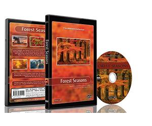 Nature DVD - Forest Seasons - Scenery From All Seasons from the Forest with Music and Nature Sounds