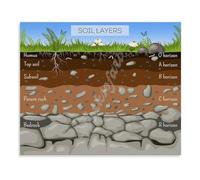 Nature Earth Science Soil Layers Ecosystem Poster