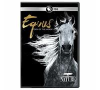 Nature: Equus - Story Of The Horse [USA] [DVD]