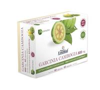 Nature Essential - Extracto de Garcinia Cambogia 800 mg - 60 Cápsulas - 60% Ácido Hidroxicítrico HCA - Ayuda al Sistema Inmunitario y Pérdida de Grasa