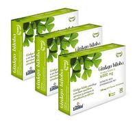 Nature Essential | Ginkgo Biloba 6000 mg | Pack 3 Unidades | 30 Comprimidos | Extracto Seco | Ayuda a Fortalecer la Memoria | Ayuda a Aumentar la Concentración | Ideal para Estudiantes y Deportistas
