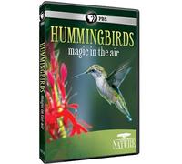 Nature: Hummingbirds: Magic in the Air [USA] [DVD]