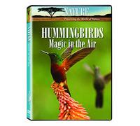 Nature: Hummingbirds, Magic in the Air [USA] [DVD]