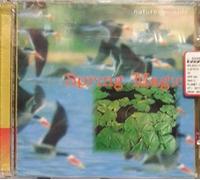 Nature Inside, Planet Garden - Spring Magic