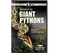 Nature: Invasion Of The Giant Pythons [Edizione: Stati Uniti] [Italia] [DVD]