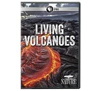 Nature: Living Volcano [USA] [DVD]