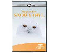 Nature: Magic of the Snowy Owl [USA] [DVD]