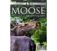 Nature: Moose - Life of a Twig Eater [USA] [DVD]