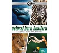 Nature: Natural Born Hustlers [USA] [DVD]