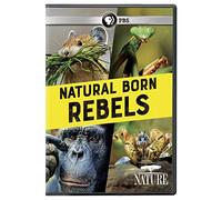 NATURE: Natural Born Rebels [USA] [DVD]
