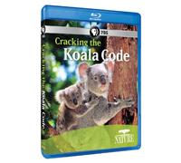 Nature - Nature: Cracking the Koala Code [USA] [Blu-ray]