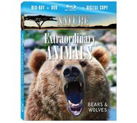 Nature - Nature: Extraordinary Animals: Bears & Wolves [USA] [Blu-ray]