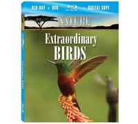 Nature - Nature: Extraordinary Birds [USA] [Blu-ray]