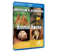 Nature - Nature: The Animal House [USA] [Blu-ray]