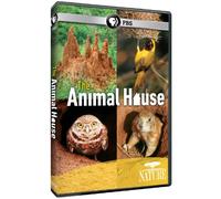 Nature - Nature: The Animal House [USA] [DVD]