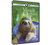 Nature: Nature's Miracle Orphans [USA] [DVD]