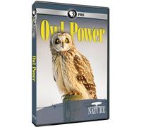 Nature: Owl Power [USA] [DVD]
