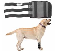 Nature Pet - Vendaje de la articulación carpometacarpiana de Perro para Deporte/Vendaje de Soporte para Perros CarpoLock Sport - Gris - XL