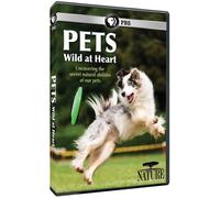 Nature: Pets Wild at Heart [USA] [DVD]