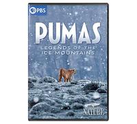 Nature: Pumas - Legends Of The Ice Mountains [USA] [DVD]