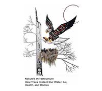 Nature’s Infrastructure: How Trees Protect Our Water, Air, Health, and Homes