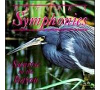 Nature S Symphonies - Nature's Symphonies: Sunrise in Bayou