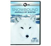 Nature: Snowbound: Animals Of Winter [Edizione: Stati Uniti] [Italia] [DVD]
