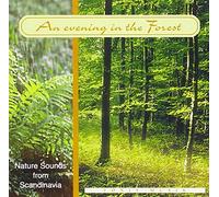 Nature Sounds - Evening in the Forest, An