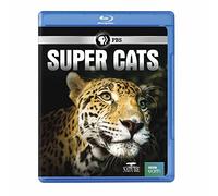 NATURE: Super Cats [USA] [Blu-ray]