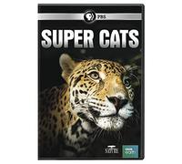 NATURE: Super Cats [USA] [DVD]