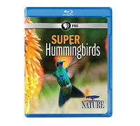 Nature: Super Hummingbirds [Edizione: Stati Uniti] [Italia] [Blu-ray]