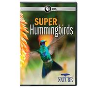 Nature: Super Hummingbirds [USA] [DVD]
