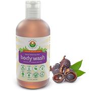 Nature Sustained Raw Dry Skin Body Wash - Gel de baño orgánico para piel sensible - pH equilibrado y natural para el acné - Probióticos naturales y nueces de jabón, 9 ml