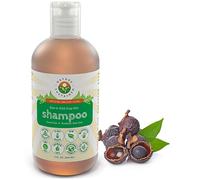 Nature Sustained Raw Natural Shampoo ââ‚¬" Organic Dandruff Eczema & Psoriasis Shampoo - pH Balanced Itchy Scalp Relief ââ‚¬" Made from Natural Probiotics & Soap Nuts ââ‚¬" 9 Fl. Oz.