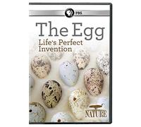 Nature: The Egg: Life's Perfect Invention [USA] [DVD]