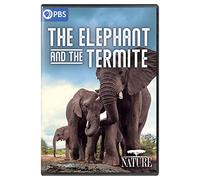 Nature: The Elephant And The Termite [USA] [DVD]