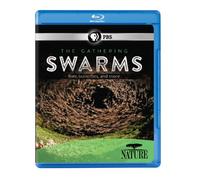 Nature: The Gathering Of Swarms [Edizione: Stati Uniti] [USA] [Blu-ray]