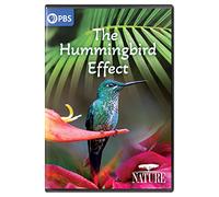 NATURE: The Hummingbird Effect [USA] [DVD]