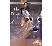 Nature: The Private Life of Deer [USA] [DVD]