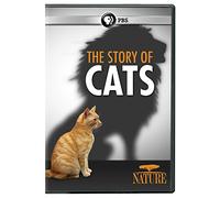 Nature: The Story of Cats [USA] [DVD]