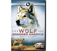 Nature: The Wolf That Changed America [Edizione: Stati Uniti] [Italia] [DVD]