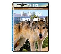 Nature: The Wolf That Changed America [USA] [DVD]