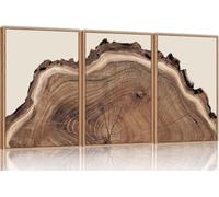 Nature Tree Ring Canvas Wall Art Set Of 3,Large Wood Tree Spiral Art Prints, Abstract Wall Painting for Living Room(40x60cm x 3/Inner frame)
